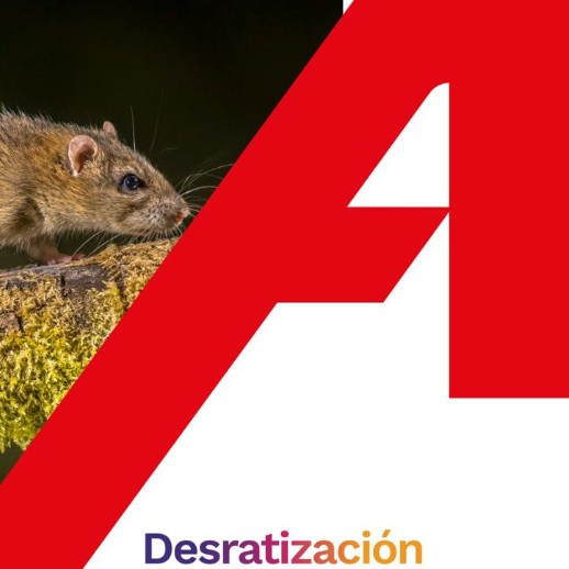 Desratización